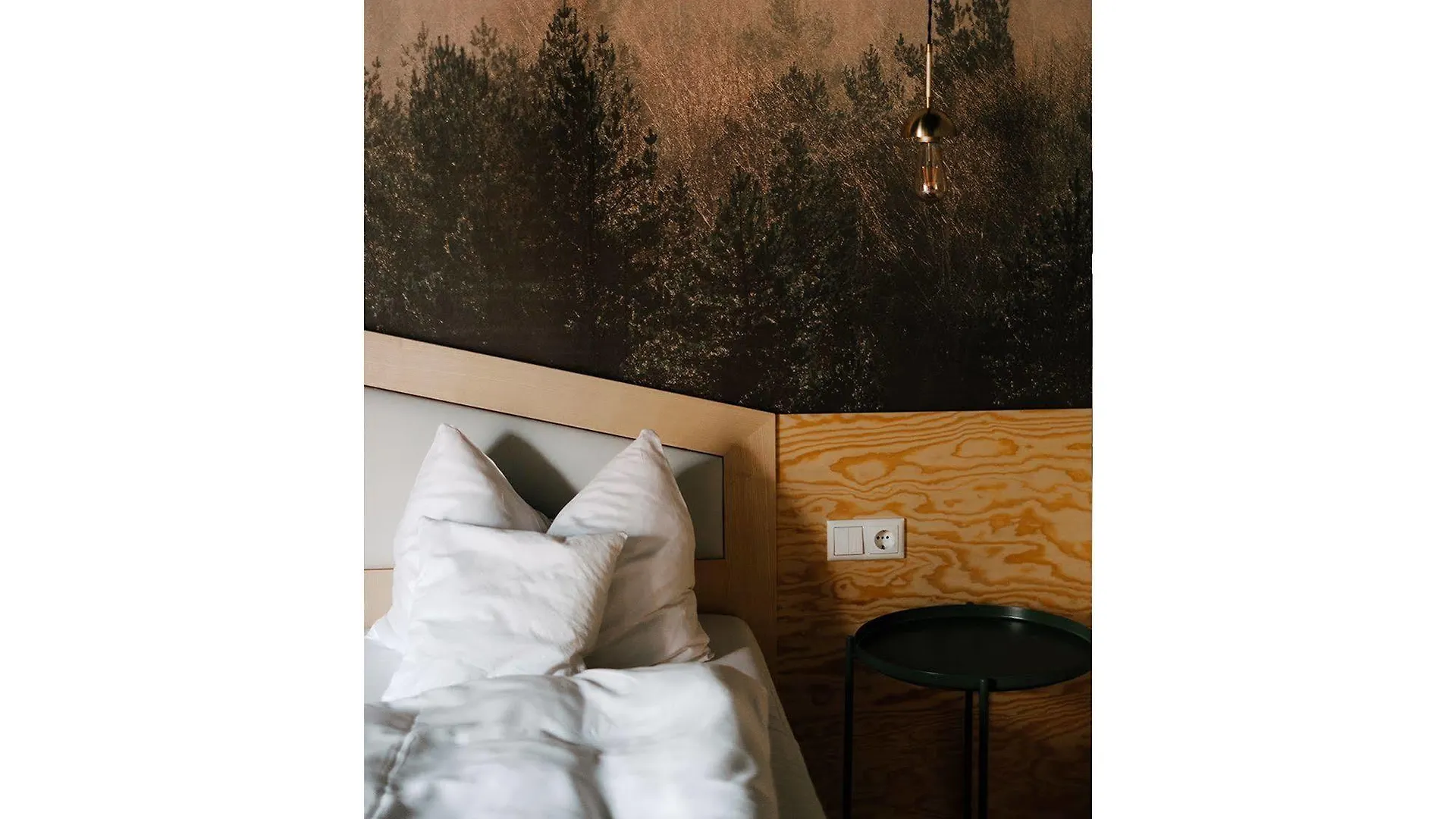 Avenon Privat-Hotel Am Steinberg Röthenbach an der Pegnitz Hotel